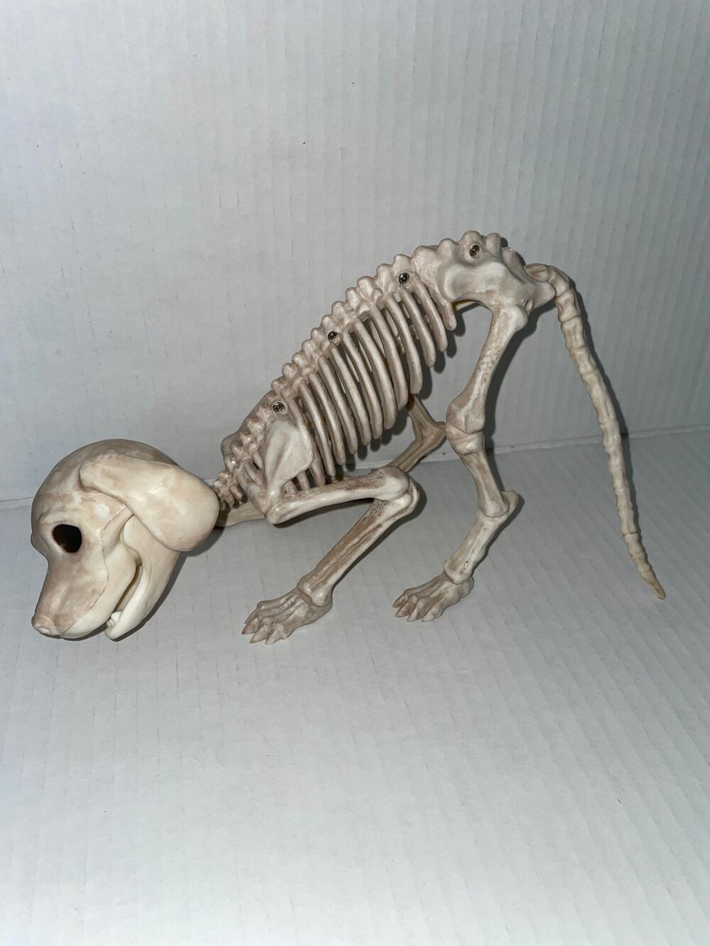 7" PLAYFUL PUPPY DOG SKELETON SPOOKY BONE DEAD ANIMAL PROP HALLOWEEN DECORATION